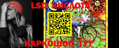 прущие грибы Канаш