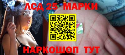 тгк Камышлов