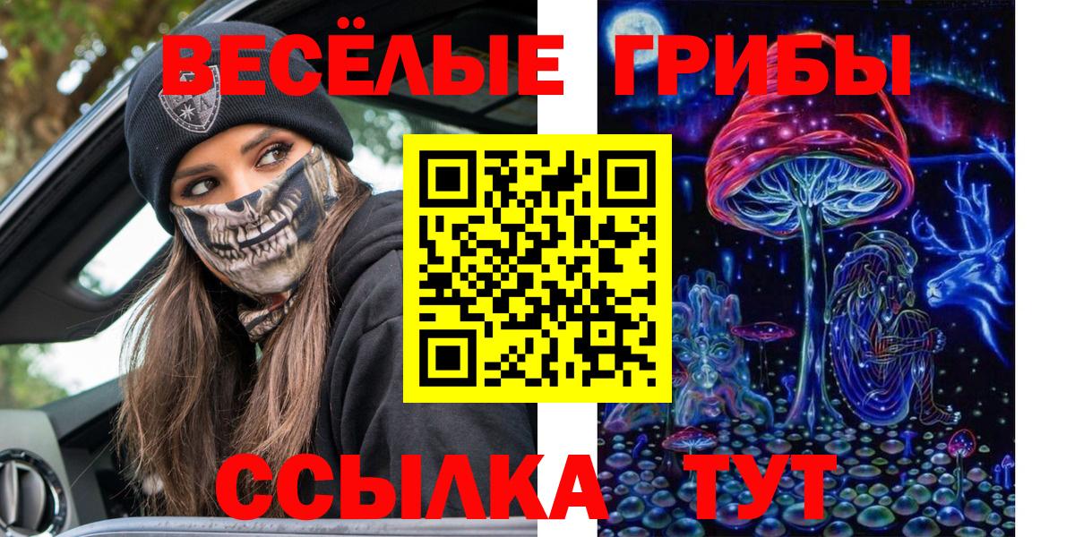 Галлюциногенные грибы прущие грибы  Вход с VPN  Феодосия 